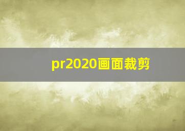 pr2020画面裁剪