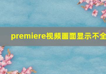 premiere视频画面显示不全