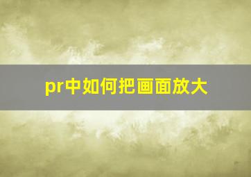 pr中如何把画面放大