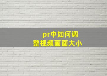 pr中如何调整视频画面大小