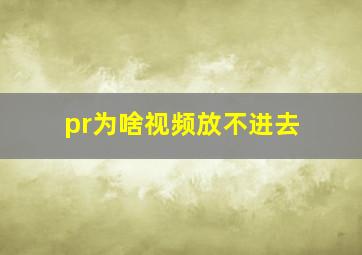 pr为啥视频放不进去