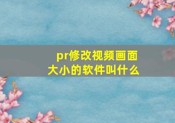 pr修改视频画面大小的软件叫什么