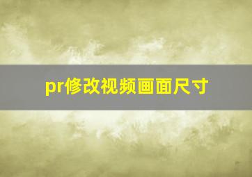 pr修改视频画面尺寸