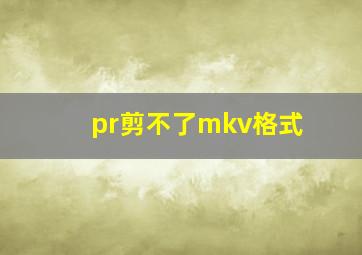 pr剪不了mkv格式