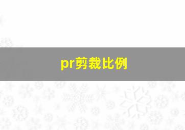 pr剪裁比例