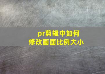 pr剪辑中如何修改画面比例大小