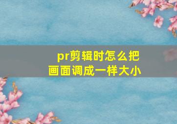 pr剪辑时怎么把画面调成一样大小