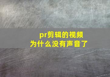 pr剪辑的视频为什么没有声音了