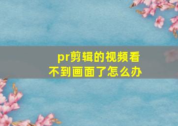 pr剪辑的视频看不到画面了怎么办