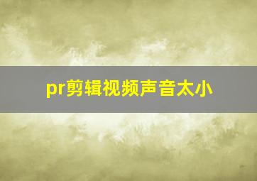 pr剪辑视频声音太小