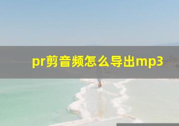 pr剪音频怎么导出mp3