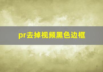 pr去掉视频黑色边框