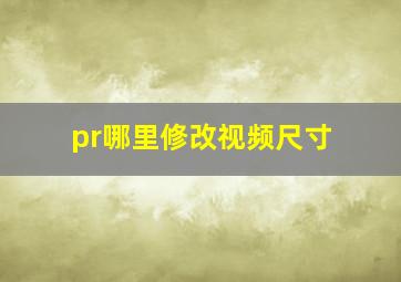 pr哪里修改视频尺寸