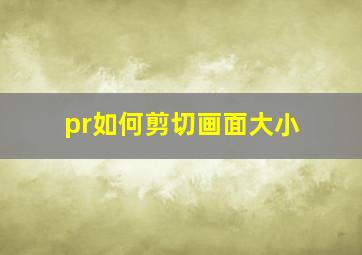 pr如何剪切画面大小