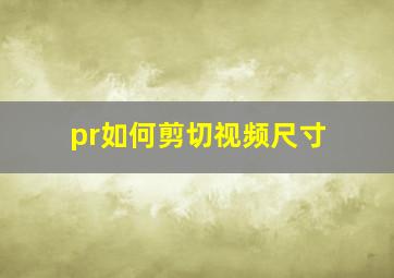 pr如何剪切视频尺寸