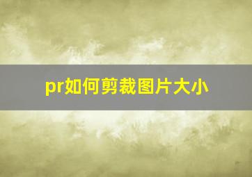 pr如何剪裁图片大小