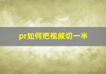 pr如何把视频切一半