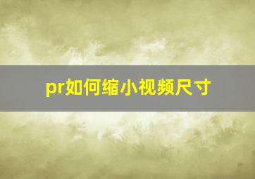 pr如何缩小视频尺寸