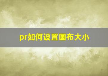 pr如何设置画布大小