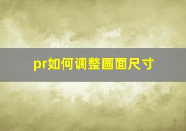 pr如何调整画面尺寸