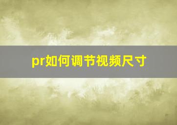 pr如何调节视频尺寸