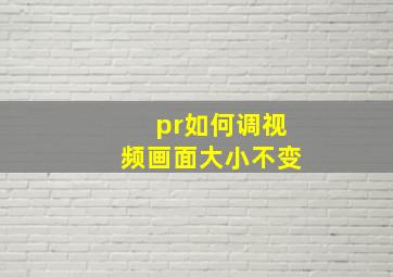 pr如何调视频画面大小不变