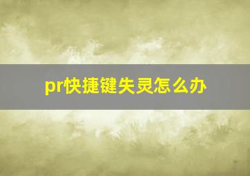 pr快捷键失灵怎么办