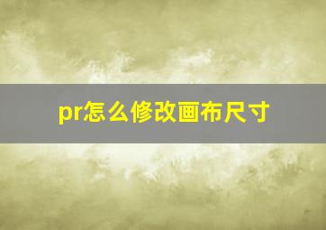 pr怎么修改画布尺寸