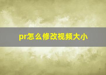 pr怎么修改视频大小