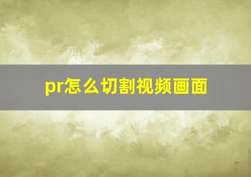 pr怎么切割视频画面