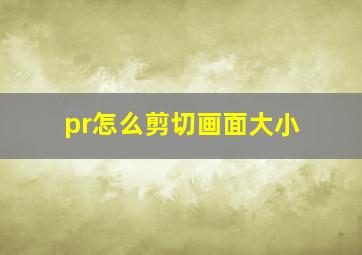 pr怎么剪切画面大小