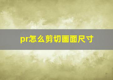 pr怎么剪切画面尺寸