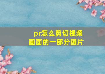 pr怎么剪切视频画面的一部分图片