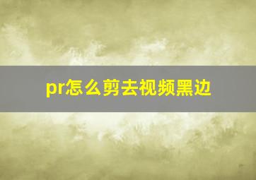 pr怎么剪去视频黑边