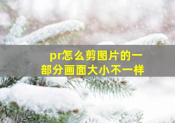 pr怎么剪图片的一部分画面大小不一样