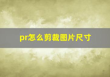 pr怎么剪裁图片尺寸