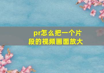 pr怎么把一个片段的视频画面放大