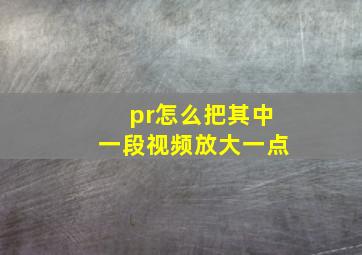 pr怎么把其中一段视频放大一点