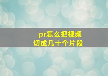 pr怎么把视频切成几十个片段