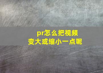 pr怎么把视频变大或缩小一点呢