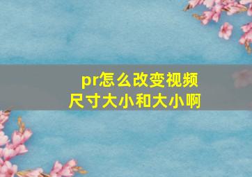 pr怎么改变视频尺寸大小和大小啊