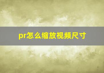 pr怎么缩放视频尺寸