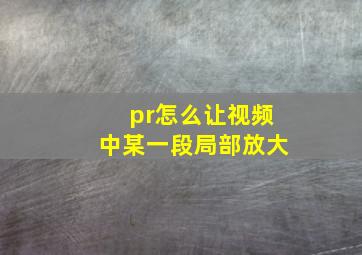 pr怎么让视频中某一段局部放大