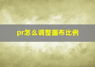 pr怎么调整画布比例