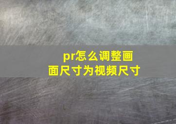 pr怎么调整画面尺寸为视频尺寸