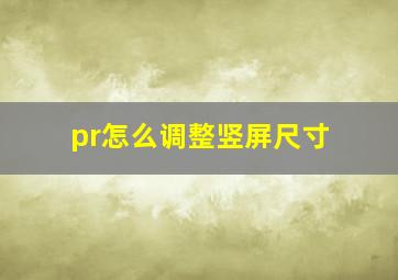 pr怎么调整竖屏尺寸