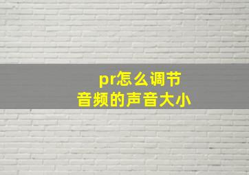 pr怎么调节音频的声音大小