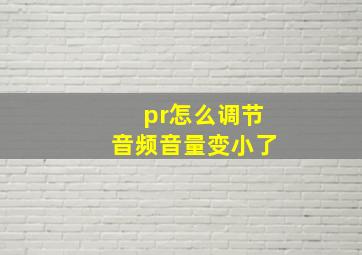 pr怎么调节音频音量变小了