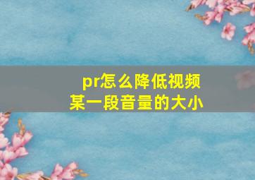 pr怎么降低视频某一段音量的大小