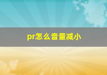 pr怎么音量减小